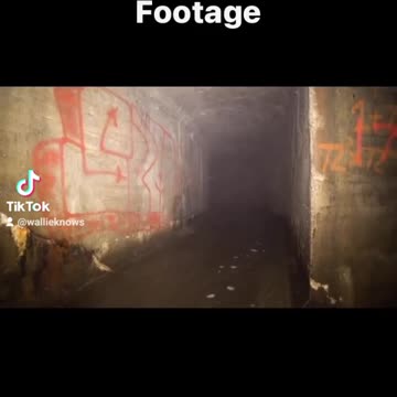 Potential crawler footage