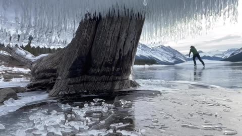 This ice "mushroom" grew on a tree in the polar states of Canada