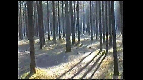 Last-Studio, Video-N.78 (2002)