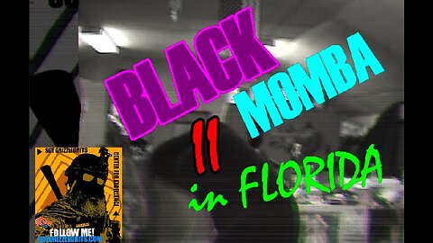 BLACK MOMBAs IN FLORIDA!!!!!!!!!