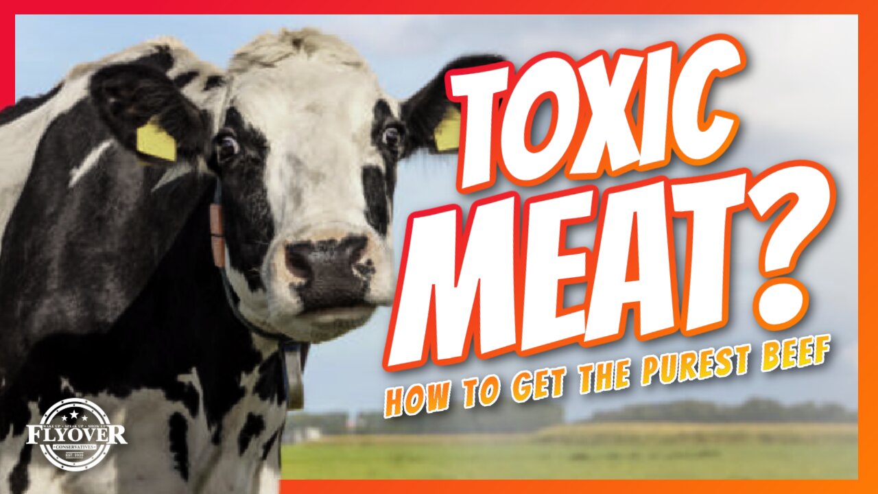 AVOID TOXIC MEAT! How to Get the PUREST Beef on Earth! - Jeremiah and Amy Harris