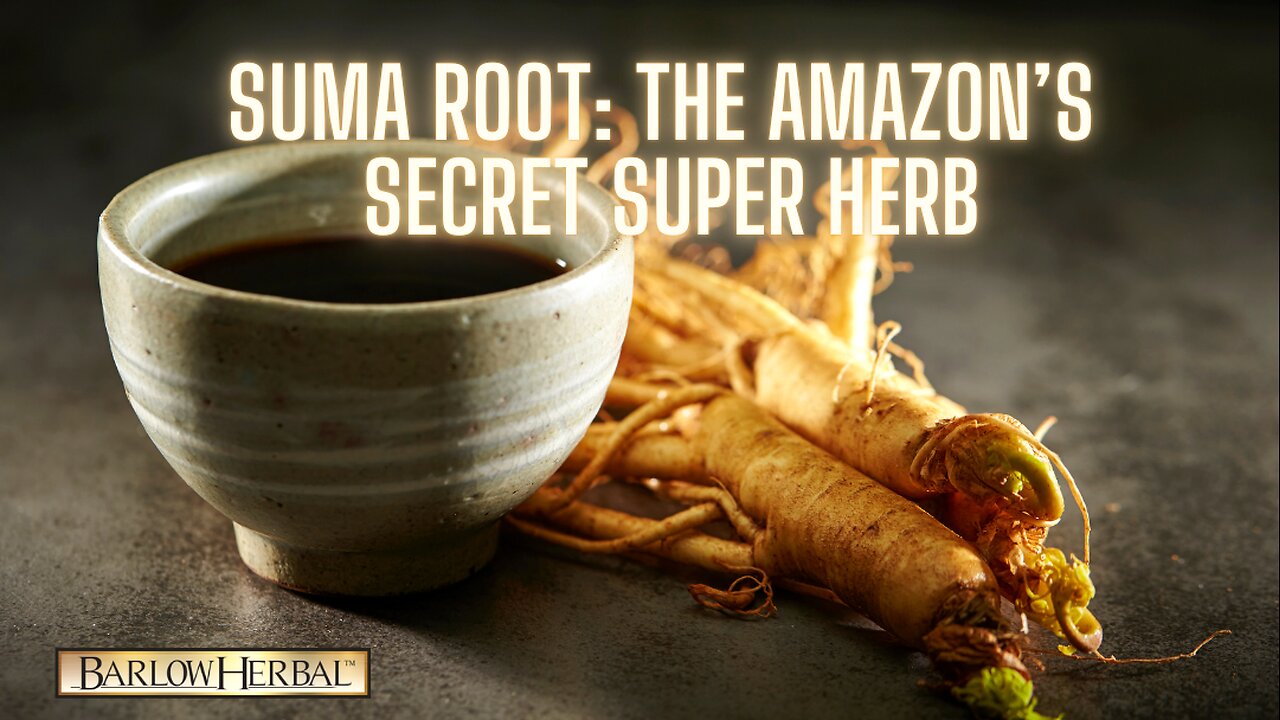 The Health Benefits of Suma root