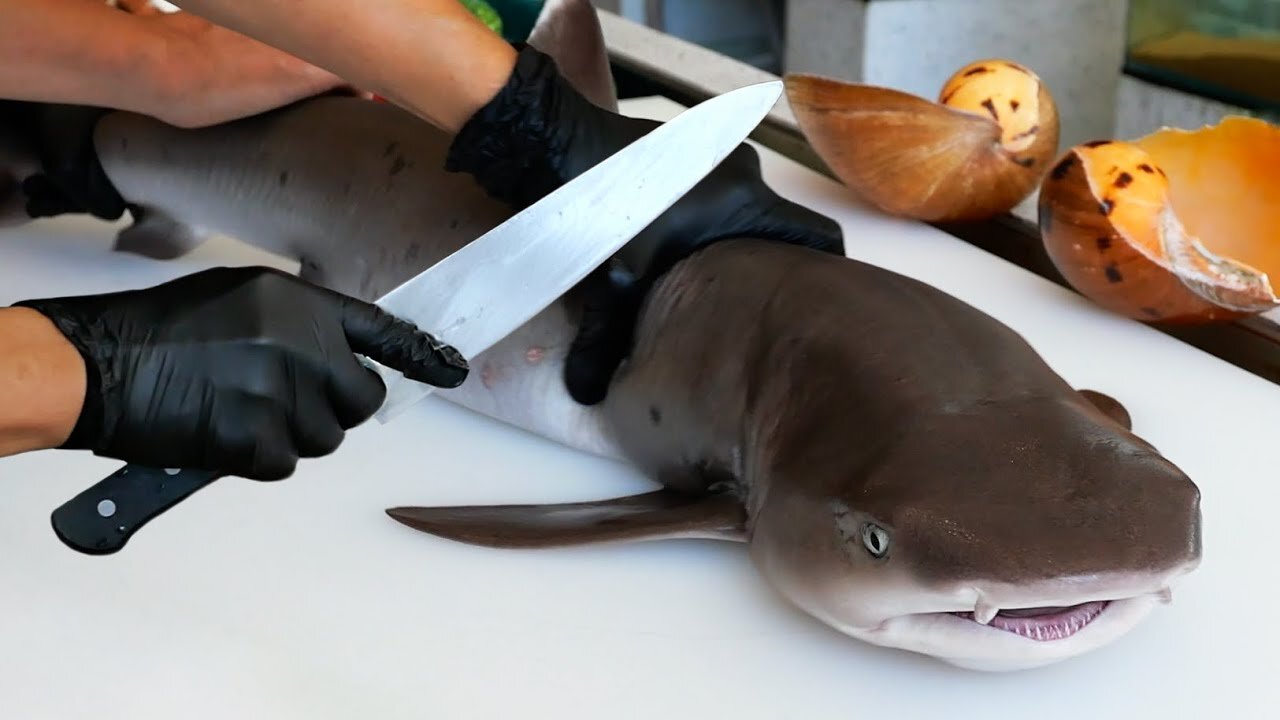 REUP - Vietnamese dish - Seafood hotpot with giant shark