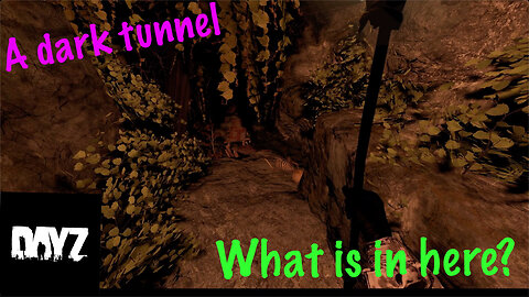 DayZ: Exploring a spooky dark tunnel (DownBad adventure)