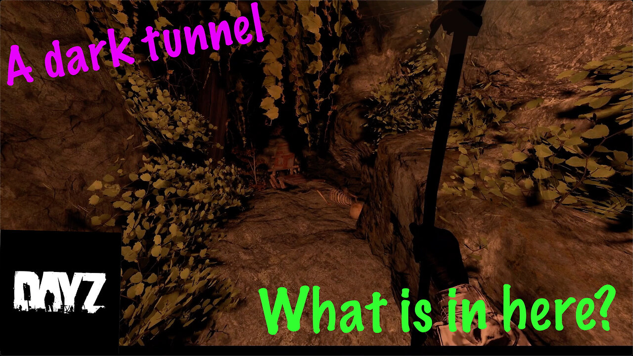 DayZ: Exploring a spooky dark tunnel (DownBad adventure)