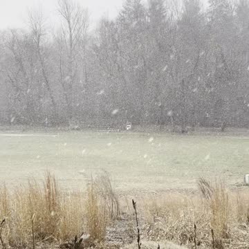 Our First 2024-25 Winter Storm!