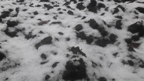 Arable land under snow
