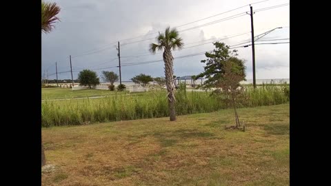 ASMR Clouds Scud Beach Wind Waves 1HR 8 15 2023