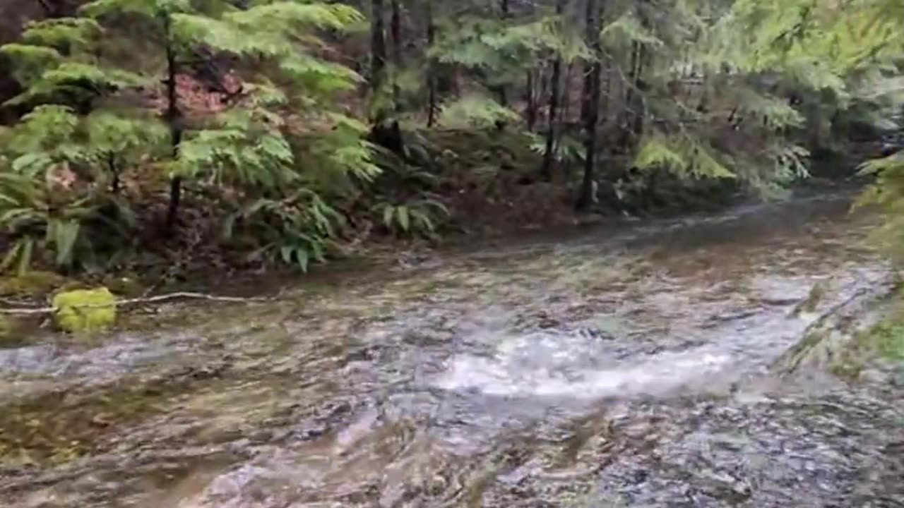 you need to avoid this trail because of bigfoot