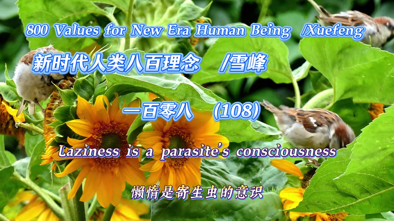 800 Values for New Era Human Being(108)