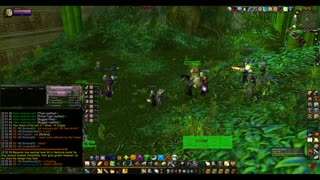 Turtle Wow - MM Weekly ZG - 17 January - Paladin POV