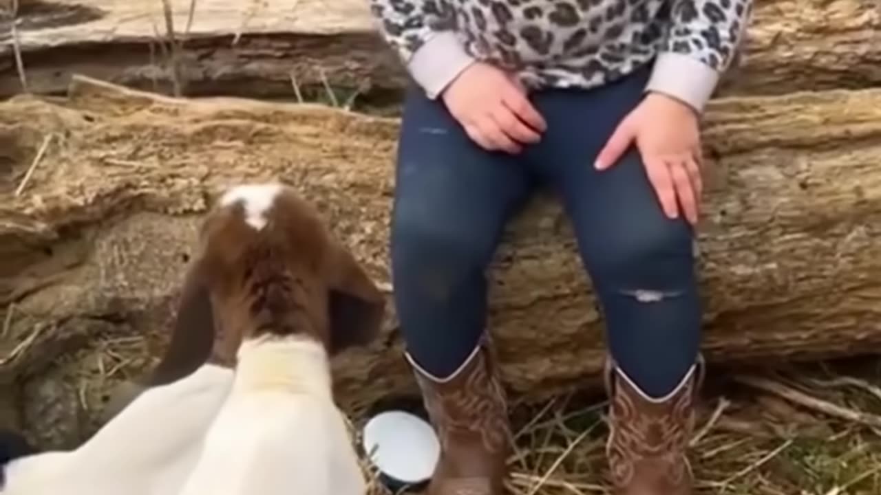 Cute and Funny Baby 🥰