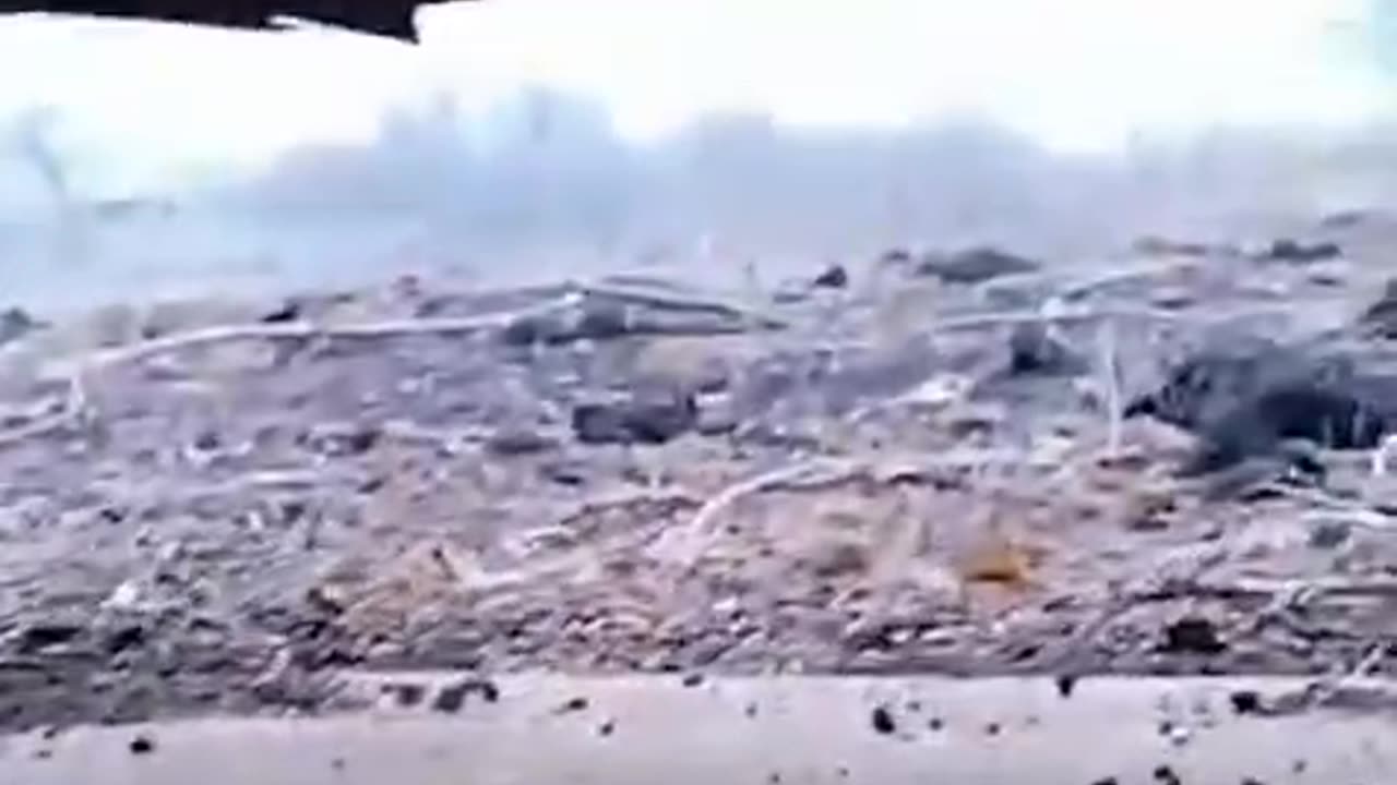 MP Bezuglaya claims that Russian troops took fortifications