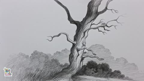 How to draw A Tree in a Scenery Art || Easy Tree Drawing and Shading