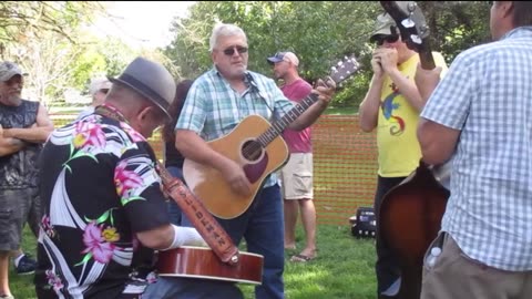 DiamondBack Jack - Bluegrass Festival