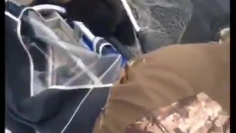 Fisherman saves 2 bear cubs from drowning!