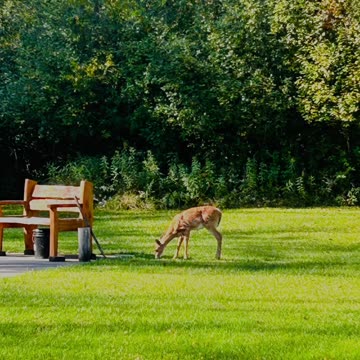 Beautiful places of nature