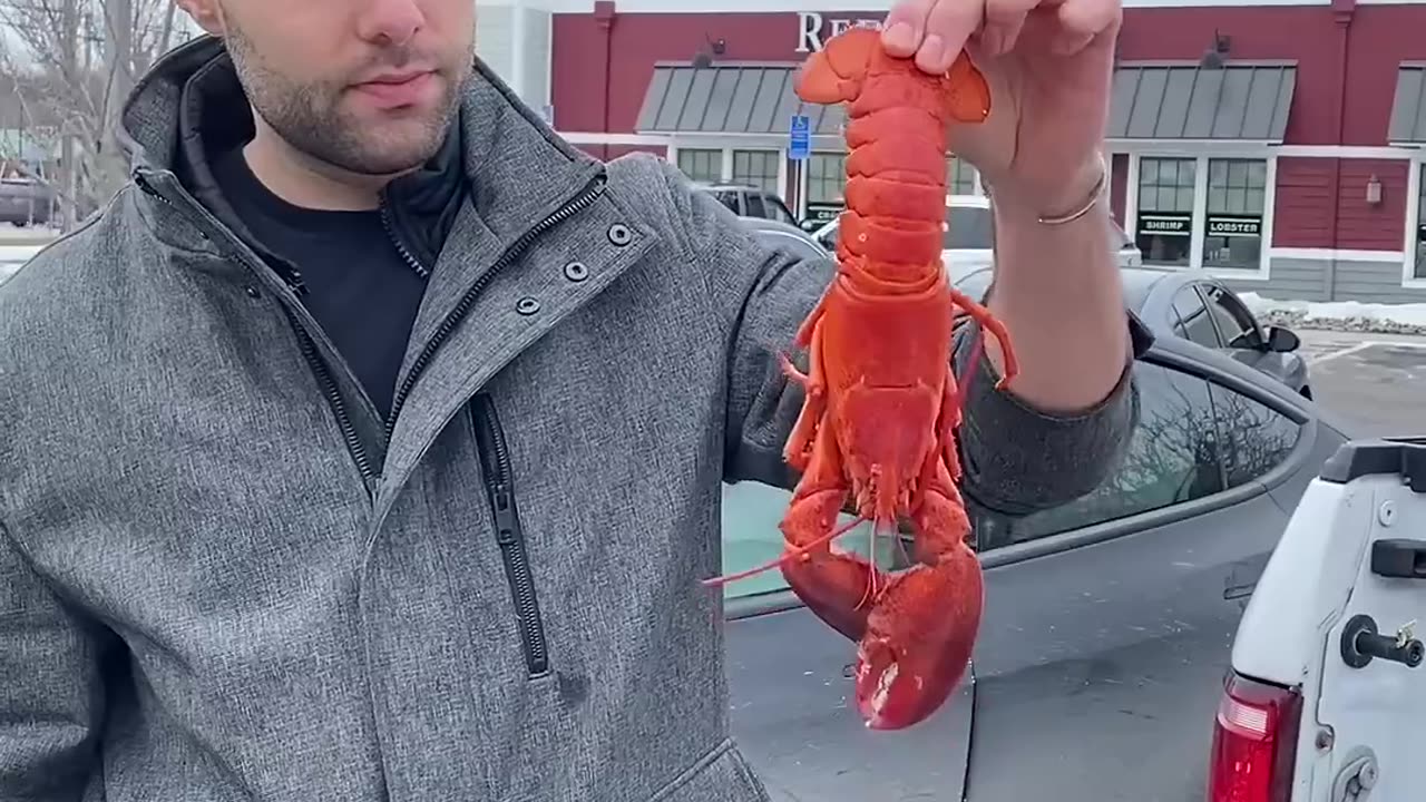 The 15lb lobsters teste bad? @FactskingBN