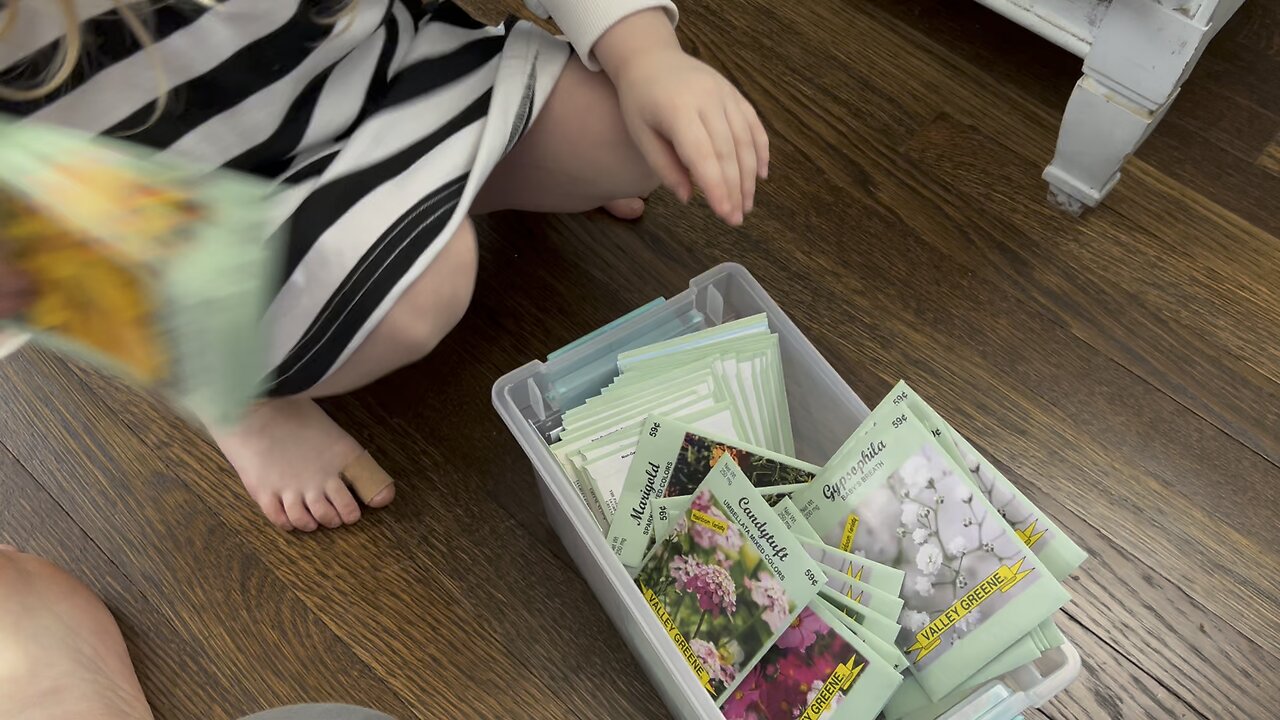 Teaching a Toddler about Chaos Gardening