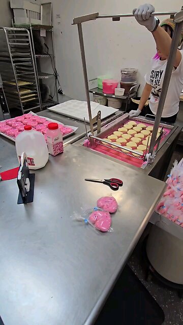 Huge cookie order today!