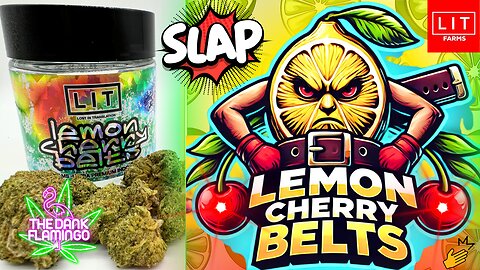 Trying Lemon Cherry Belts THCa from Lit Farms! The Dank Flamingo Cannabis Review!!