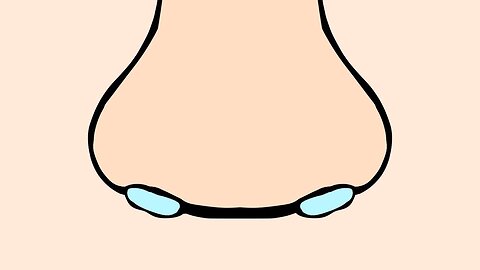 [Animation] The nose when you catch a cold.