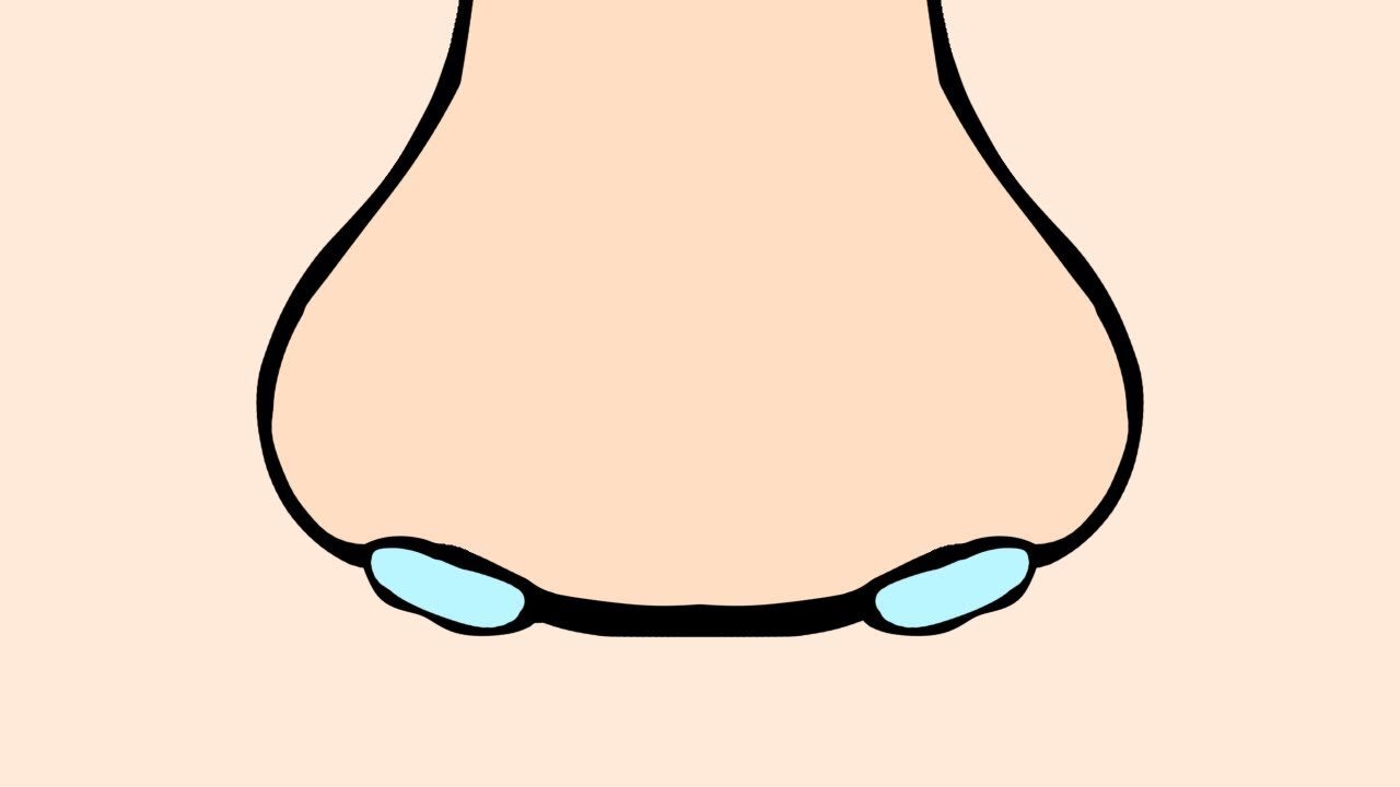 [Animation] The nose when you catch a cold.