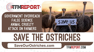 Save The Ostriches