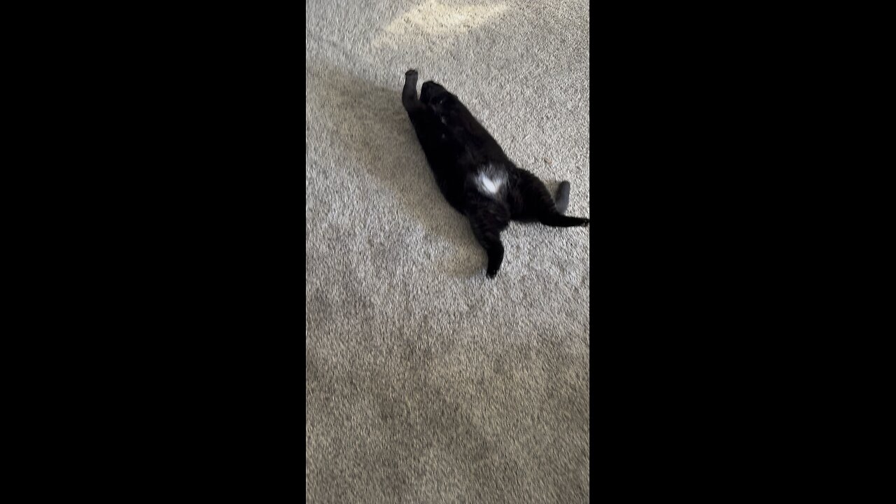 Pearl sprawled out
