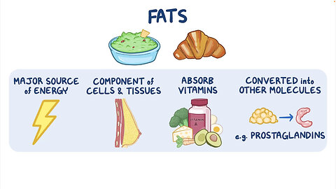 Saturated Fats & Low-Carb Diets The Truth About Nutrition🥩🥑 #LowCarbLife #SaturatedFat