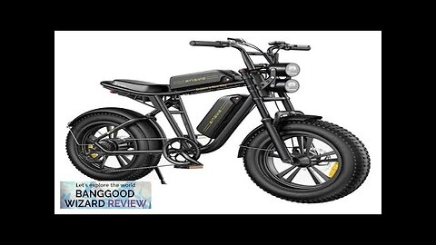 USA DIRECT ENGWE M20 13Ah*2 Dual Battery 750W 20*4.0 Fat Tire Electric Review