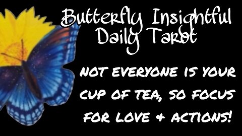 Butterfly Insightful Daily Tarot - Focus, prioritise and the world is there for the taking!