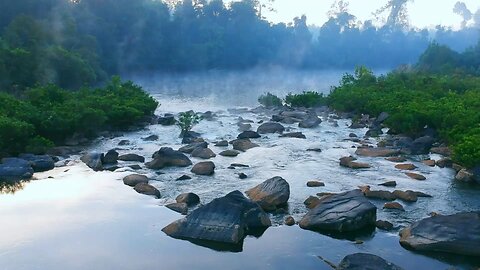A very beautiful landscape—forests, water, the sound of birds, and tranquility.