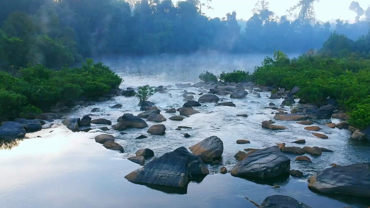 A very beautiful landscape—forests, water, the sound of birds, and tranquility.