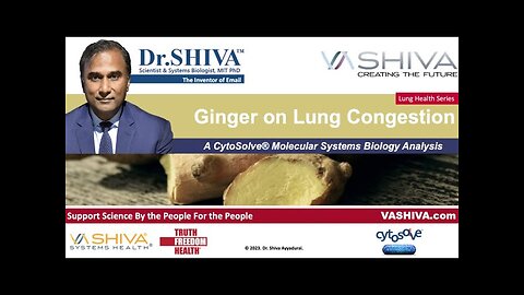 Dr.SHIVA™: Ginger on Lung Congestion. A CytoSolve® Analysis(02/24)