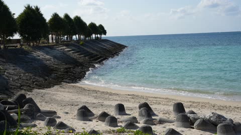 Went to Itoman area fish and farmer markets then walked along the ocean. Jan. 8, 2025. Okinawa.