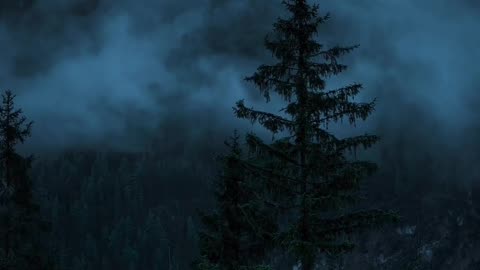 Dark Forest