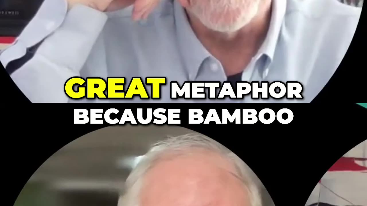 Bamboo Growth: Building Success Underground Before Exploding