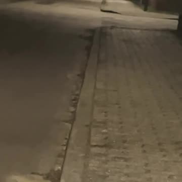 Ulven i Oksbøl Villa Kvarter 2025