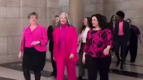 Canadian politicians wore pink to show their solidarity with Democrats