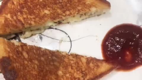 Cheese slice sandwich