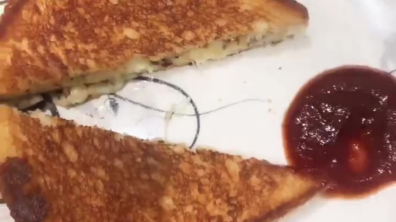 Cheese slice sandwich