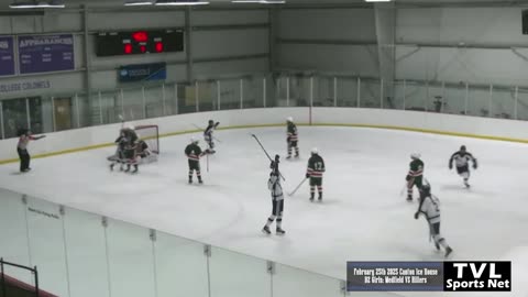 D2 Girls Hockey 24-25 Round of 32: Medfield Warriors VS Hopkinton DS Hillers