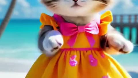 Kitty Dancing on the Beach Paws in Paradise