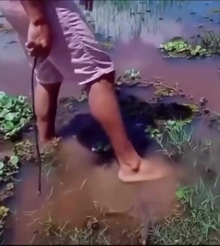 This Idiot Learns the Hard Way Why they are Called Stingrays.mp4