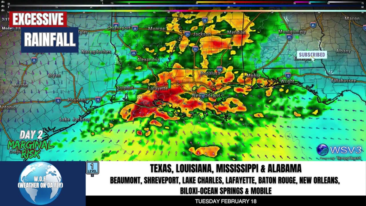 🌧️ Heavy Rain Alert: 2-4" Expected S. Louisiana! 2/17/25 #shorts #weather