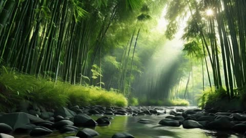 Calming Water Sounds for Meditation & Sleep