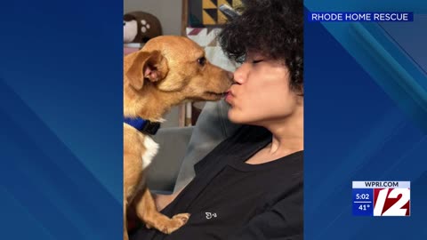 Local animal rescue mourns volunteers lost in deadly plane crash
