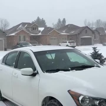 Worst Canadian Winter Ever 2019 Part 1 #sickofwinter