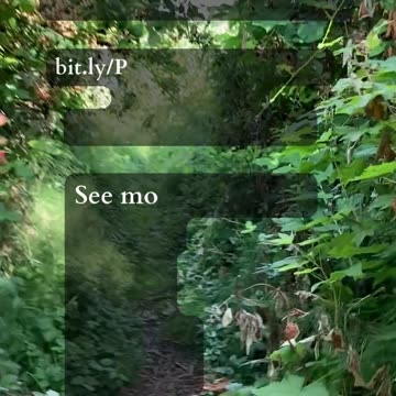 Confident Intuition | Path and Tarot Reading